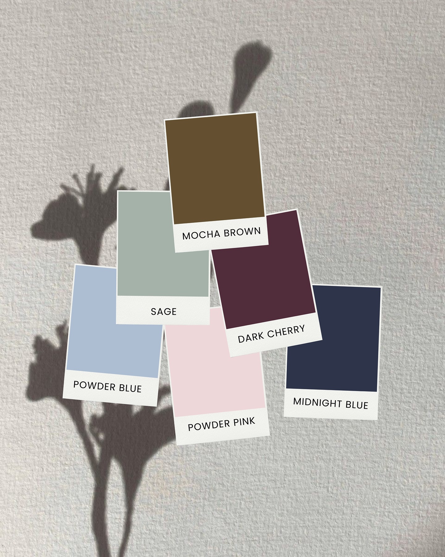 Instagram post with the caption: The colors of the season, reimagined.
Black and Mocha brown for ...